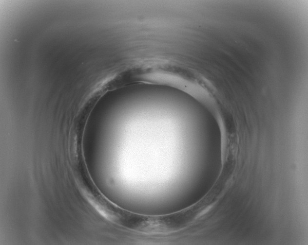 X0000082700589200702021355