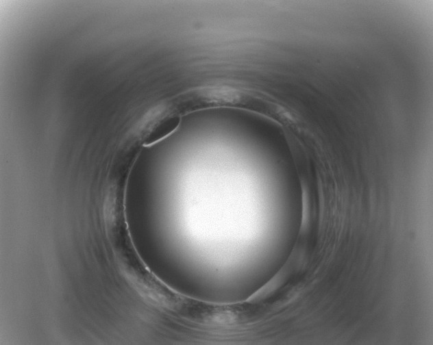 X0000082700600200702021355
