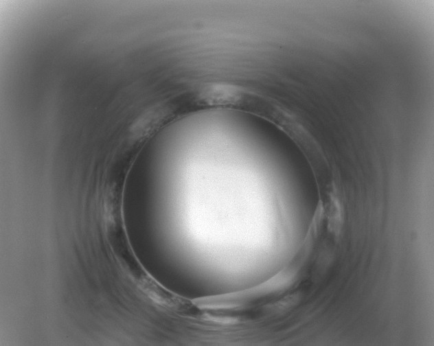 X0000082700604200702021355