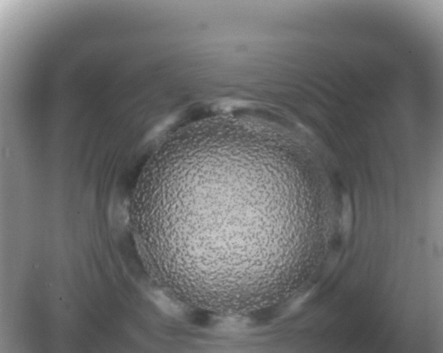 X0000082700621200702021355