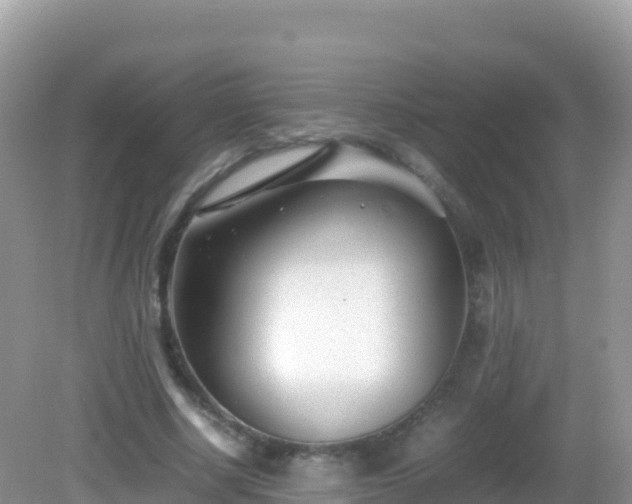 X0000082700634200702021354