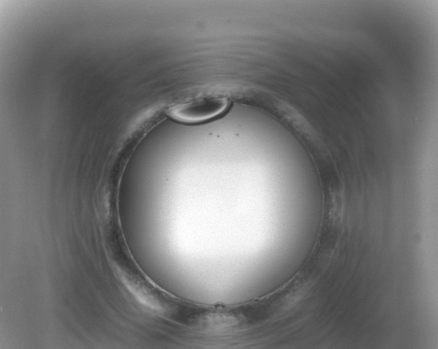 X0000082700636200702021354