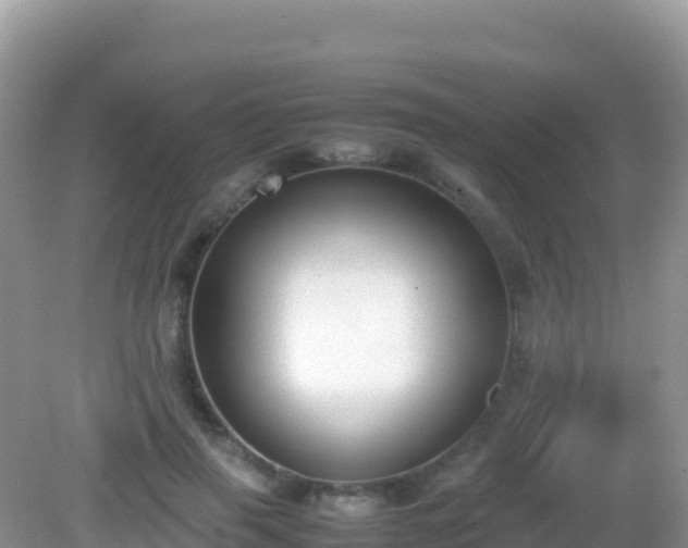 X0000082700645200702021354