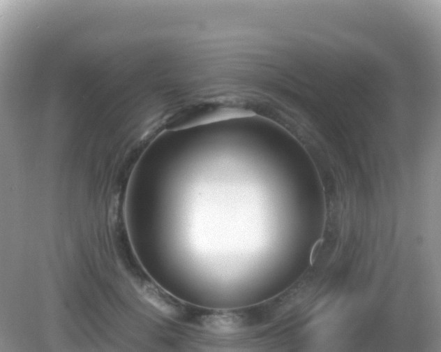X0000082700652200702021354