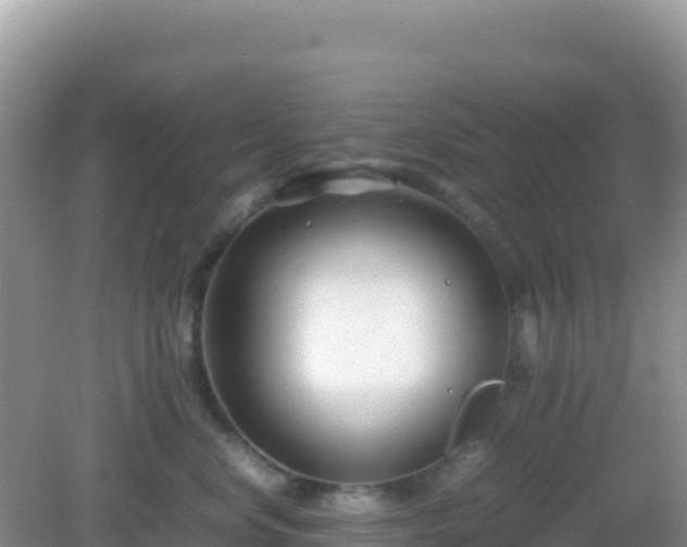 X0000082700668200702021355