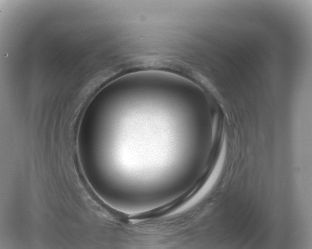 X0000082700673200702021354