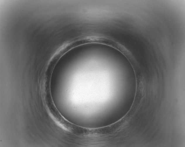 X0000082700730200702021352