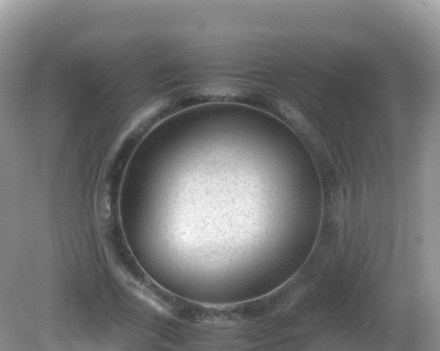 X0000082700731200702021352