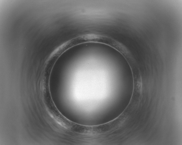 X0000082700732200702021352