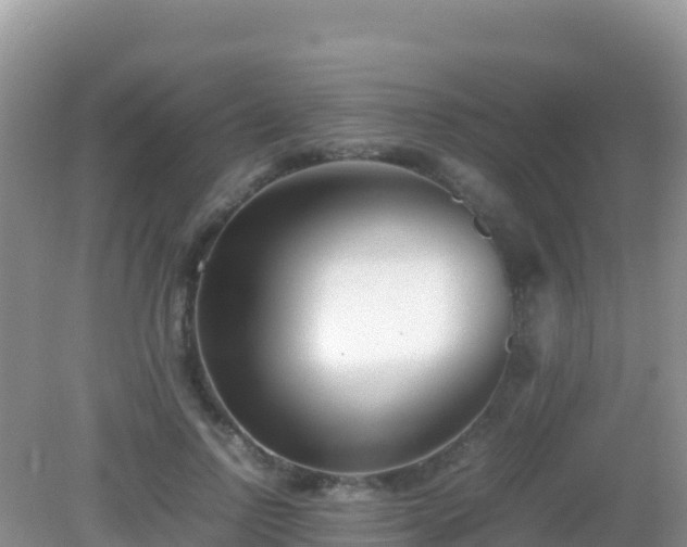 X0000082700742200702021353