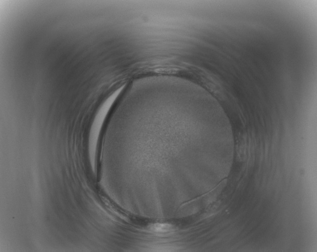 X0000082700748200702021353