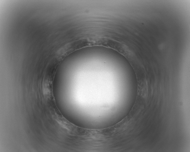 X0000082700770200702021352