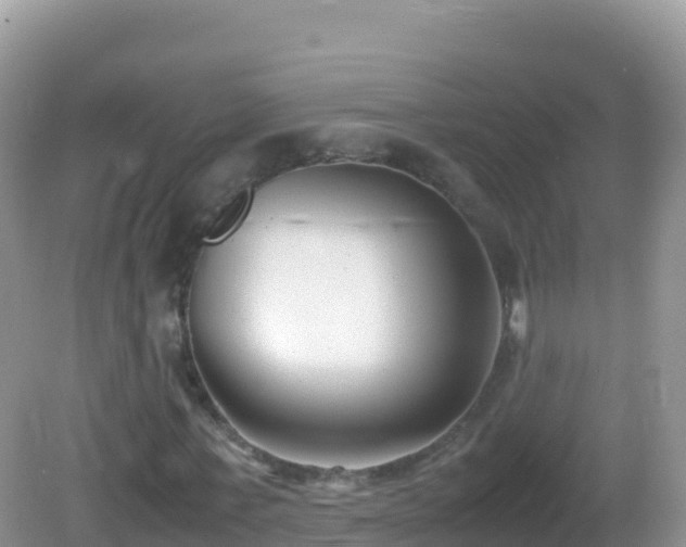X0000082700771200702021352