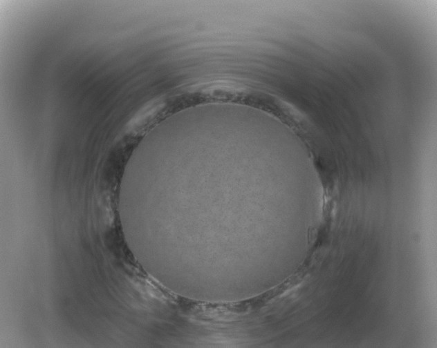 X0000082700774200702021352