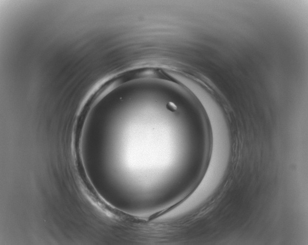 X0000082700788200702021352