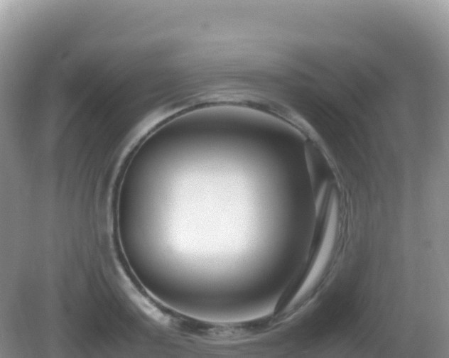 X0000082700795200702021352
