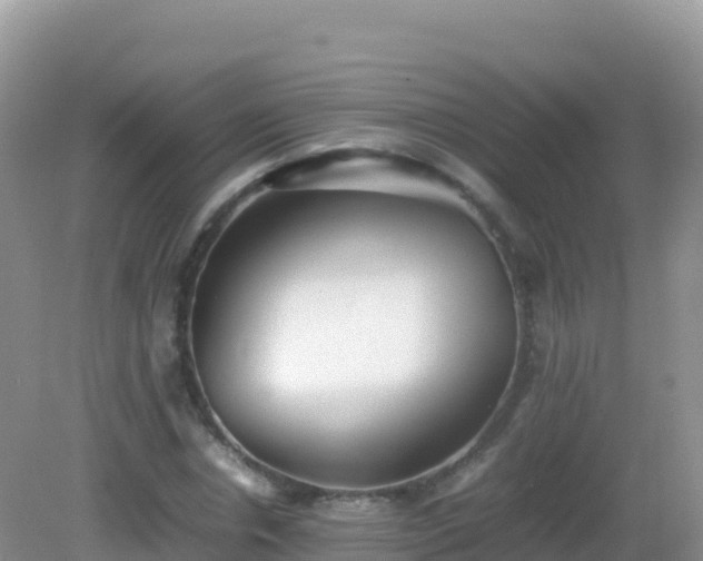 X0000082700826200702021351