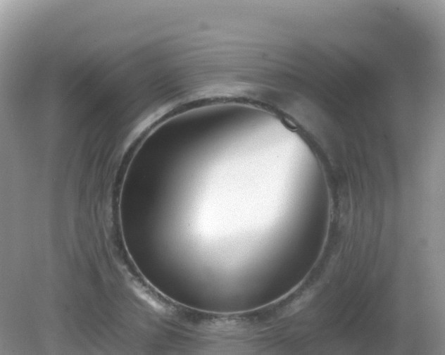 X0000082700834200702021351