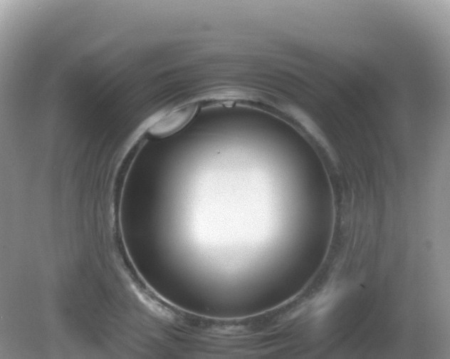 X0000082700837200702021351