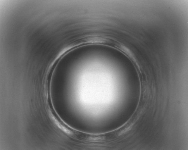 X0000082700843200702021351