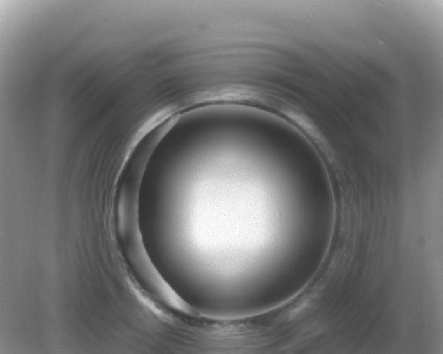 X0000082700850200702021351