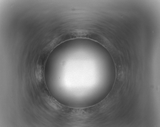 X0000082700866200702021351