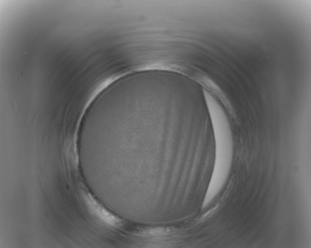 X0000082700892200702021350