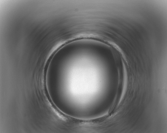 X0000082700894200702021350