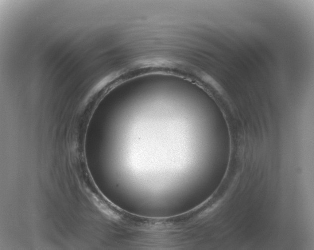 X0000082700922200702021349