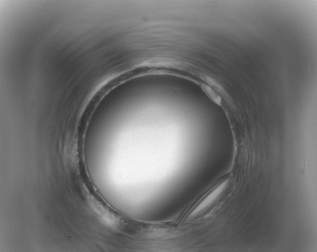 X0000082700976200702021349