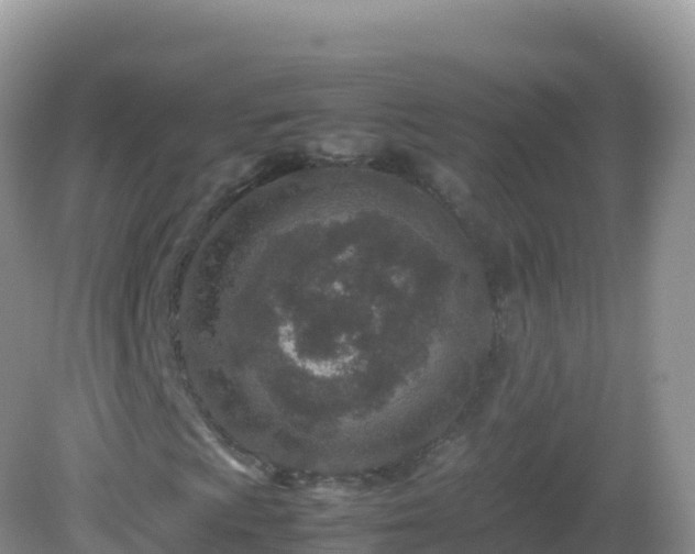 X0000082701009200702021347