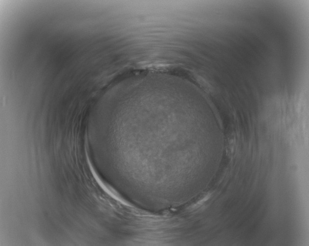 X0000082701010200702021347