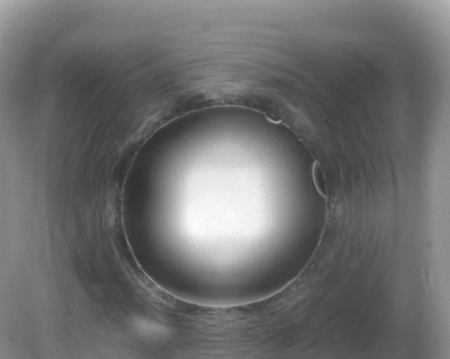 X0000082701012200702021347