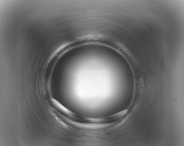 X0000082701018200702021348