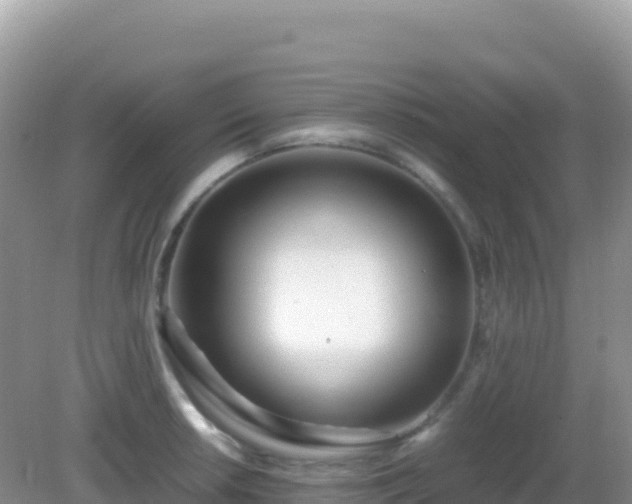 X0000082701042200702021348