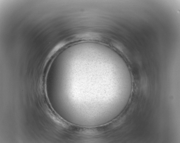 X0000082701074200702021347