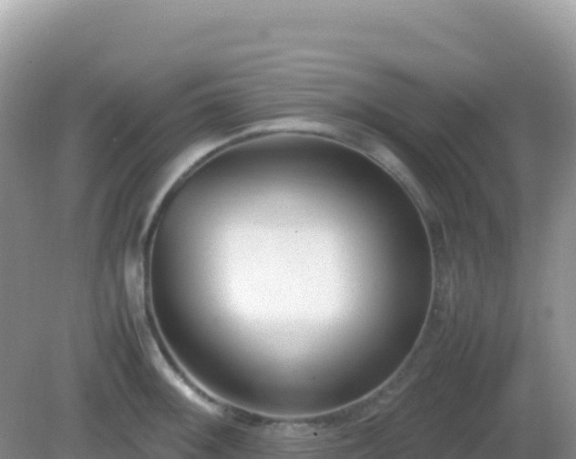 X0000082701092200702021347