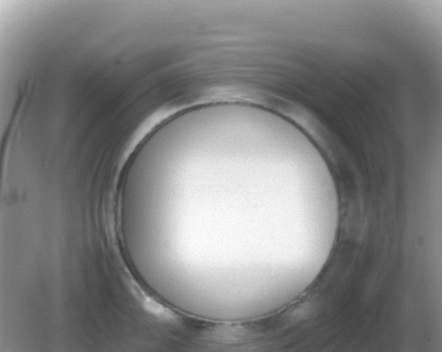 X0000082701094200702021347