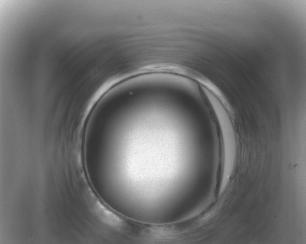 X0000082701102200702021347