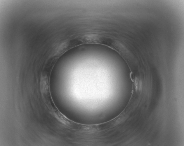 X0000082701107200702021346