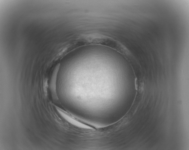 X0000082701108200702021346