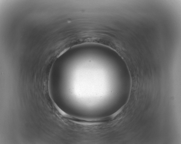 X0000082701109200702021346
