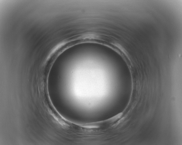 X0000082701115200702021346