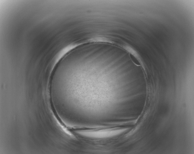 X0000082701141200702021346