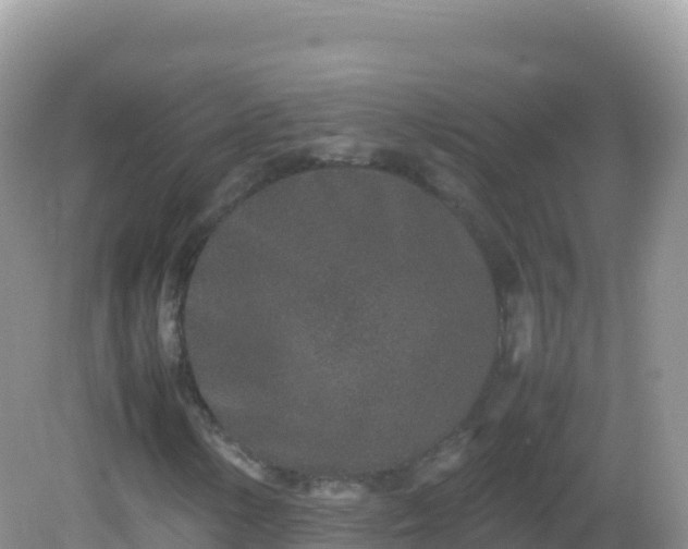 X0000082701154200702021346