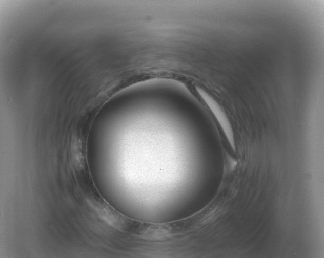 X0000082701156200702021346
