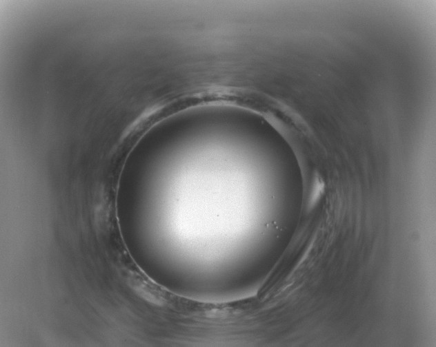 X0000082701160200702021346