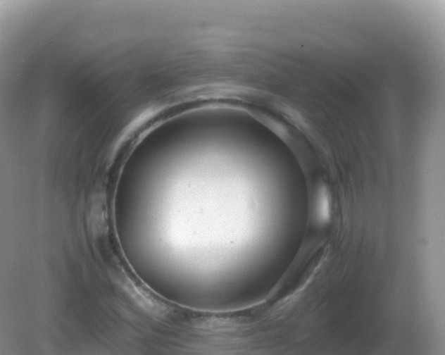 X0000082701164200702021346