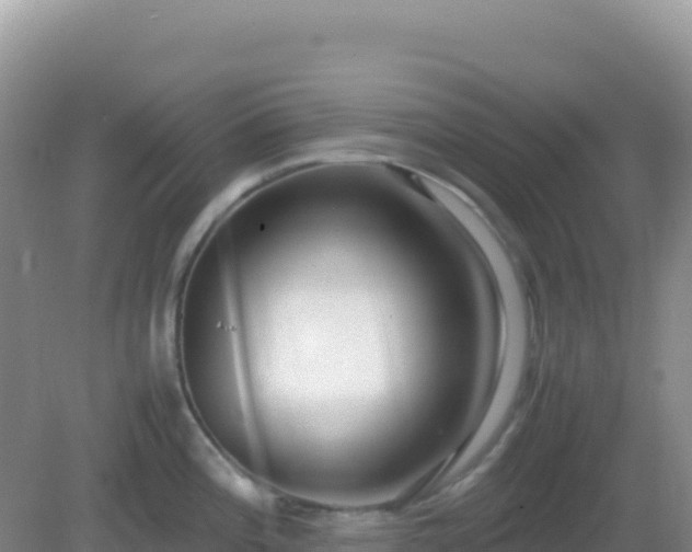 X0000082701196200702021345