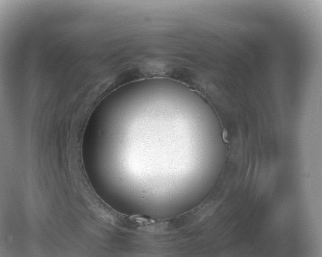 X0000082701201200702021344